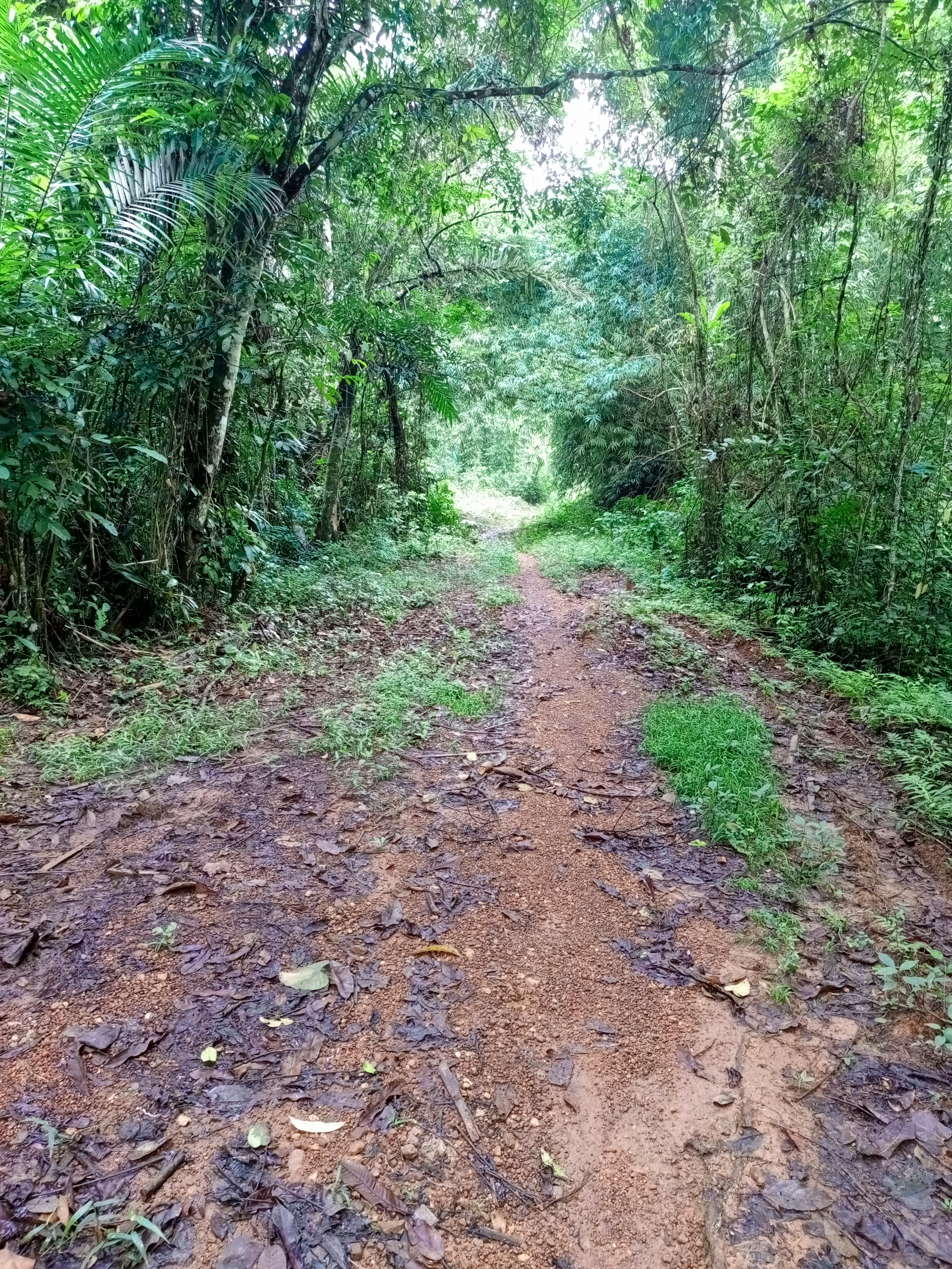 Un terrain d'avenir