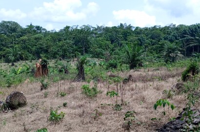 La terre nos vôtre priorité