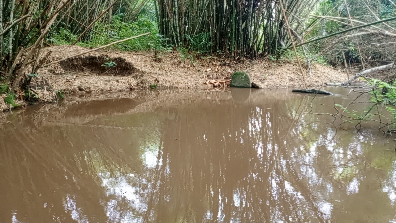 Très belle parcelle